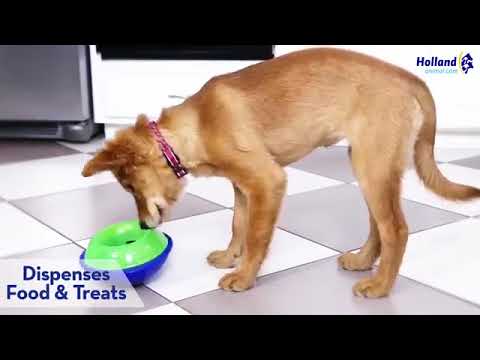 kong rambler ball dog toy