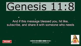 Player Profile Genesis 11 8 Explained