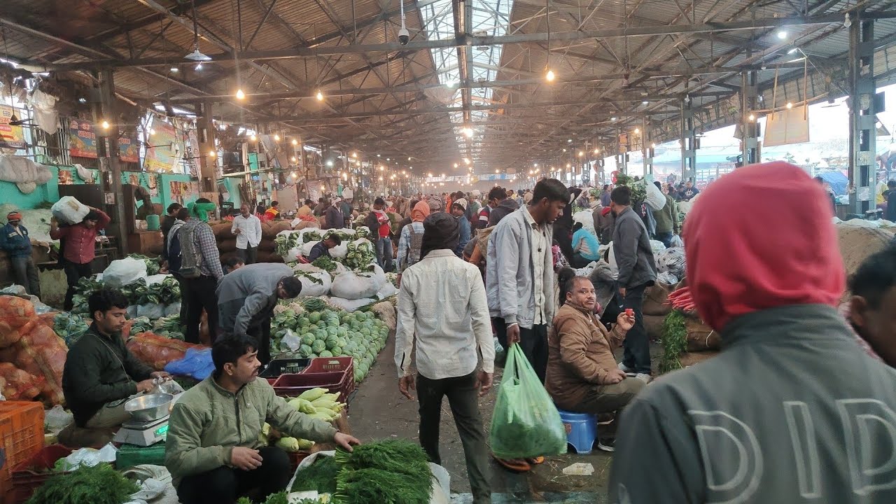 करेला भिंडी गोभी #मटर टमाटर #चुकंदर अदरक और भी अन्य सब्जियों का रेट जाने हर रोज आजादपुर मंडी 13/2/26