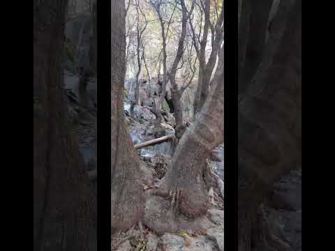     بهشت گمشده فارس