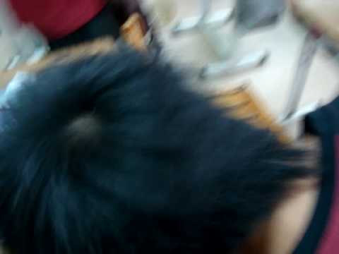 麗山8屆203謝師宴