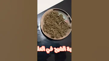 معجزة الشيح في العلاج فوائده واضراره وطريقة استعماله أهمية الشيح للعلاج 
