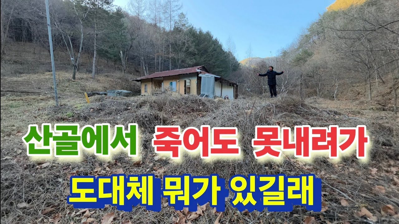 무섭고 외로운 오지에서 왜 죽어도 못내려오나.