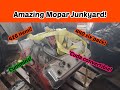 Hemi under dirt! Amazing Mopar junkyard finds!