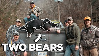 TWO BEARS!! One Day! - Bear Hunting with Hounds