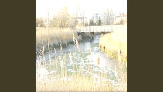 pretty little thing - kinya