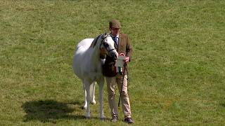 Merlod Cymreig - Pencampwriaeth Benywaidd | Welsh Ponies Female Championship