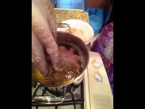 Is this Christmas or Fear Factor?