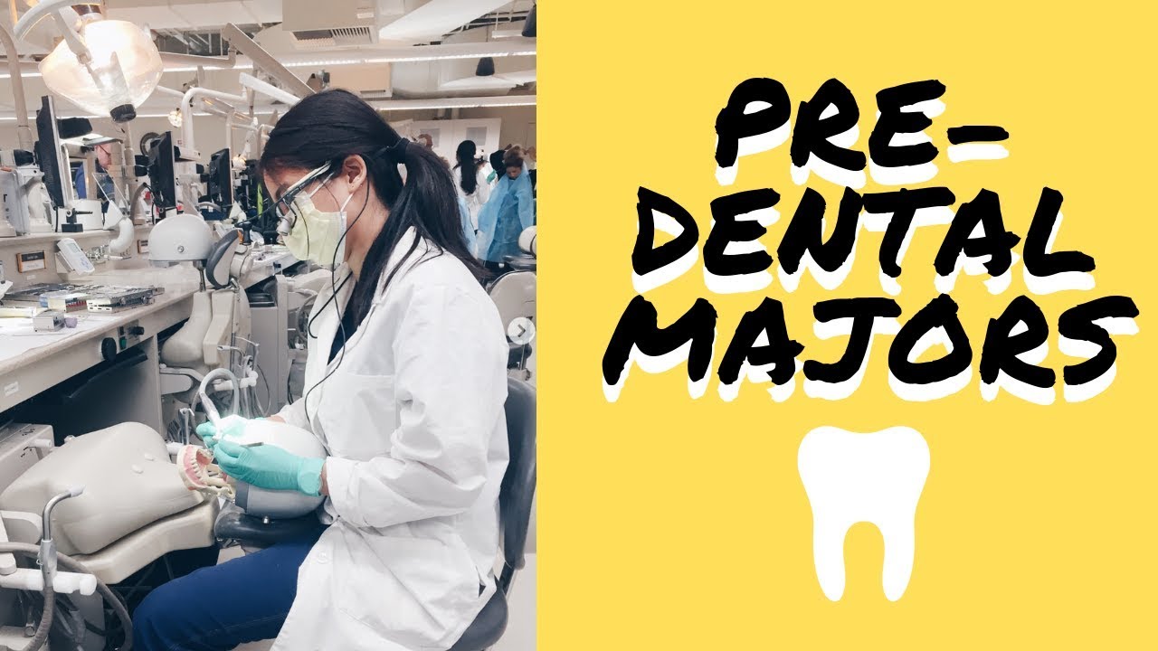 PreDental Majors ft. My Classmates Brittany Goes to Dental School