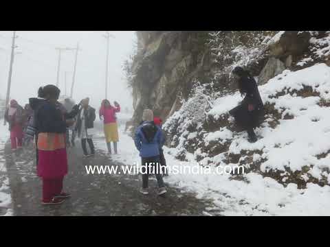 Tourists enjoying snowfall as mist surrounds the snow-covered roads near Mussoorie | Winter season