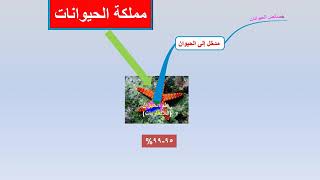 مملكة الحيوانات الدرس الأول