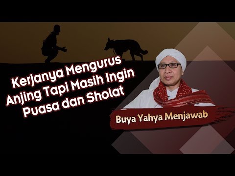 Video: Cara Merawat Anjing Jika Anda Memiliki Pekerjaan Penuh Waktu