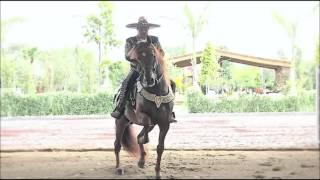 El Mejor Caballo Bailador Carnaval Autlan 2016