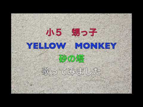 小５　甥っ子　YELLOW MONKEY　砂の塔　歌ってみました