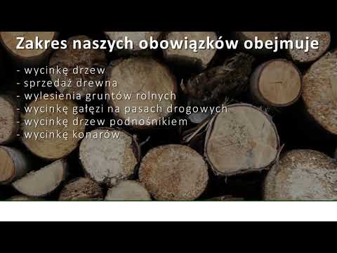 Wycinka drzew sprzedaż