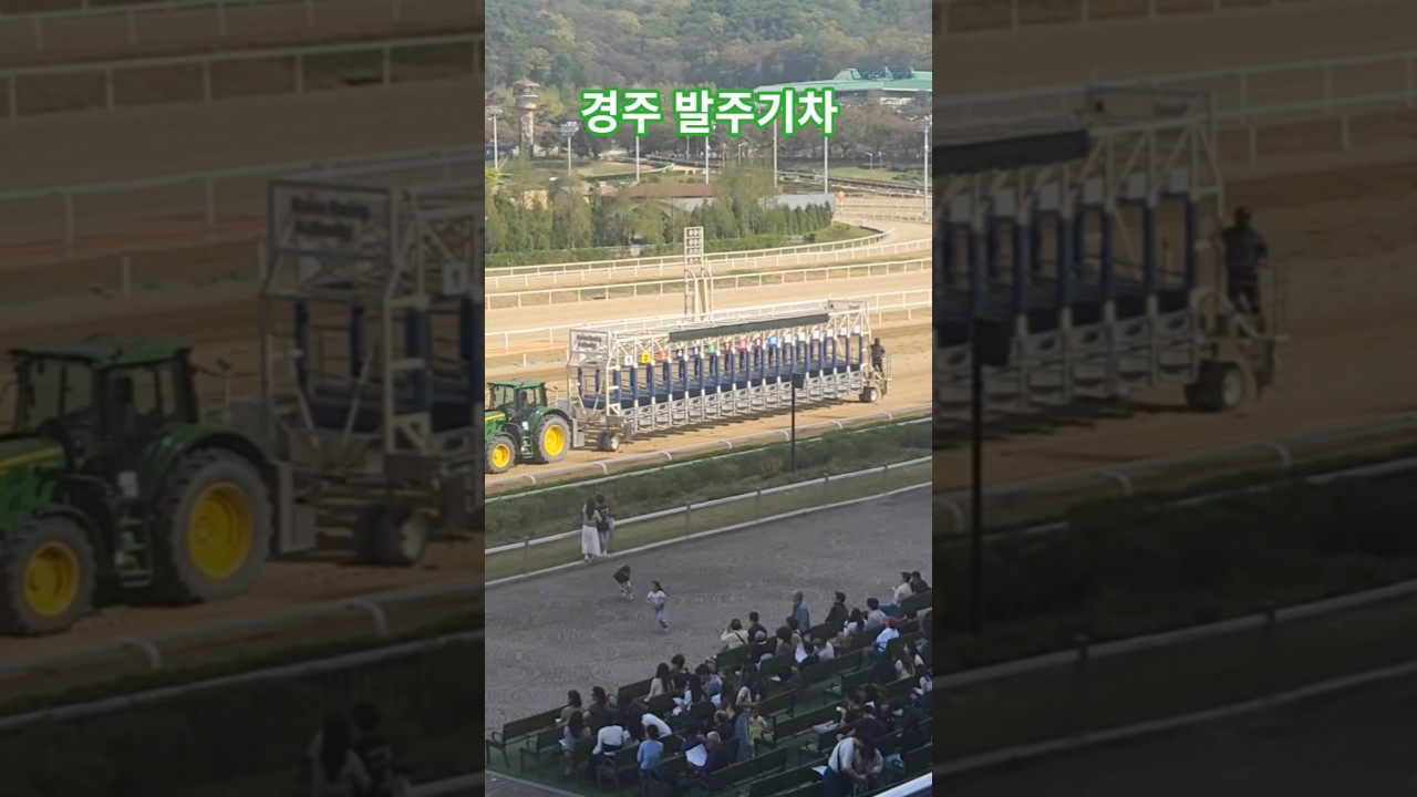 경마장 숨은일꾼들 # 경마 #말 #달려라말 #shorts
