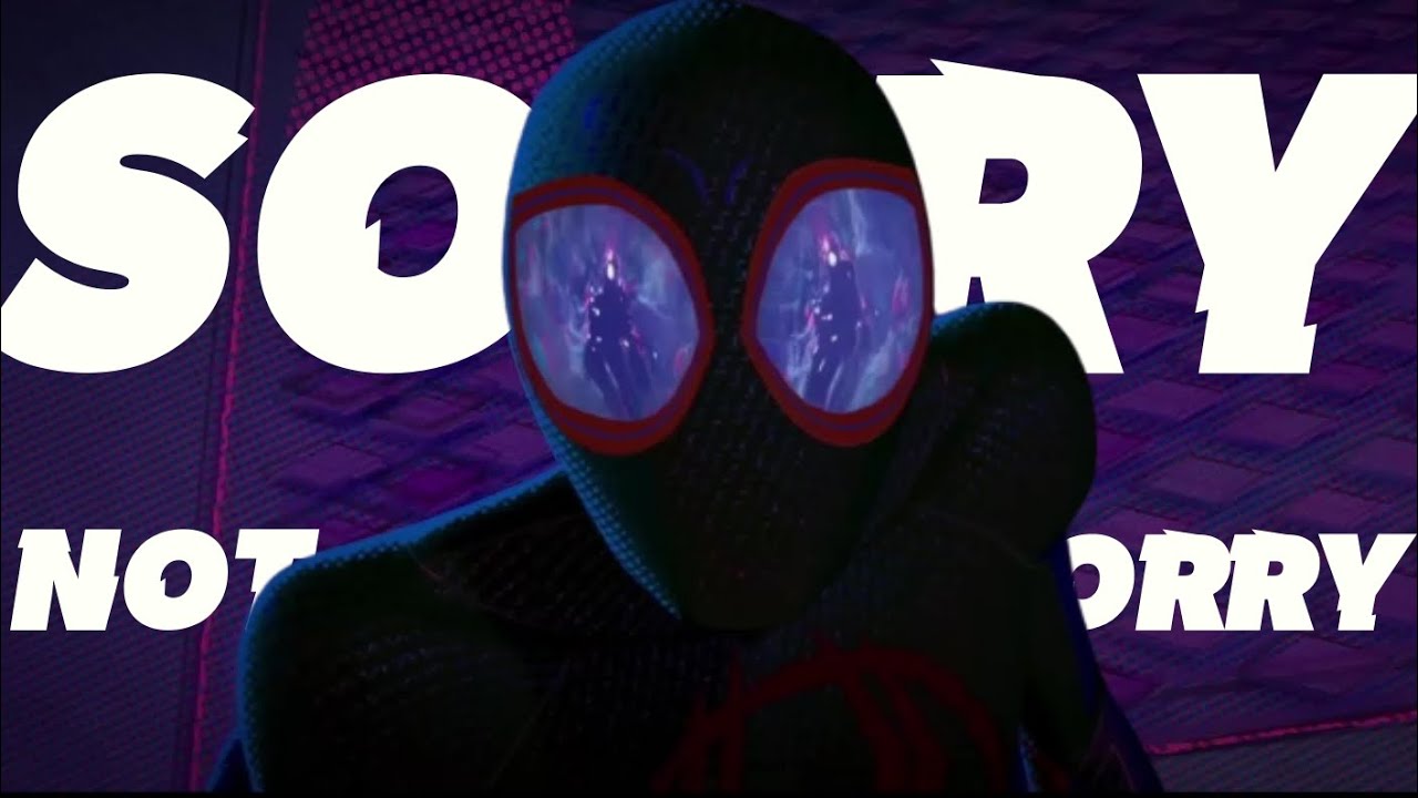 Spiderverse - SORRY NOT SORRY Edit (ITSV/ATSV) - YouTube