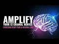 Amplify Your 12 Cranial Nerves | Overcome Your Vertigo Dizziness Intense Body Pain and Hearing Loss