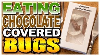EATING BUGS - Chocolate Covered Insects