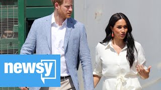 How Harry and Meghan get their income