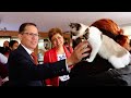 Conectados UdB - PET DAY