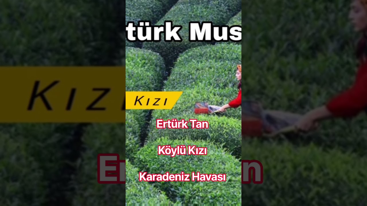 Ertürk Tan / Köylü Kızı  / Karadeniz Türküsü #karadeniz #kemençe #türkü #reels #shorts #viral