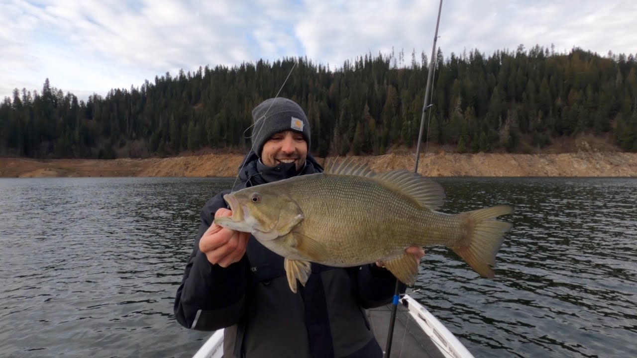 Smallmouth Bass Fishing in Winter [Graph - Electronics - Structure