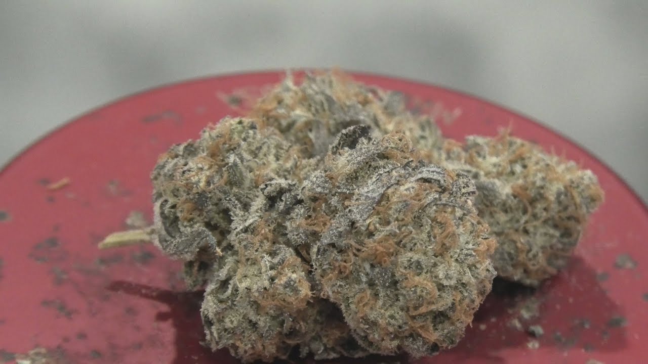 Glueberry OG Marijuana Monday