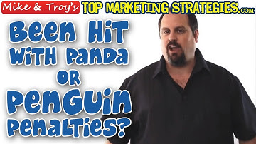 Hit By The Penguin Or The Panda? Examine Your Options