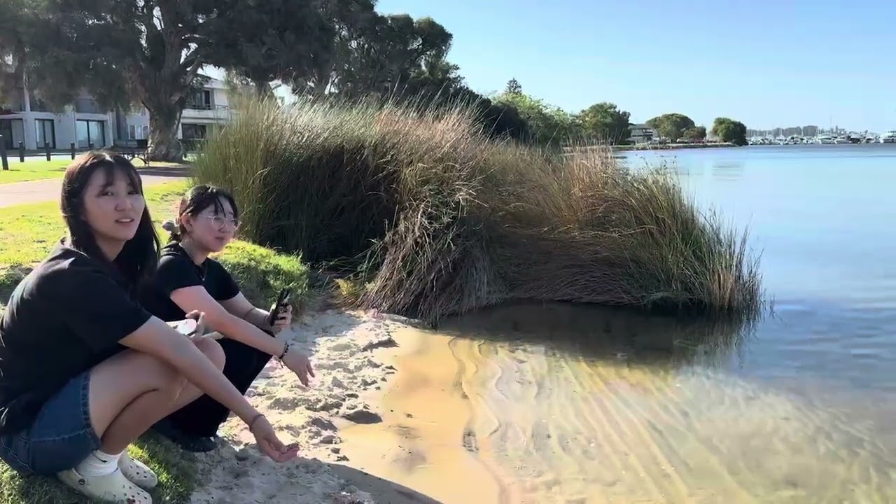 호주 퍼스의 블랙스완 / 호주 팀 - 10기 &11기