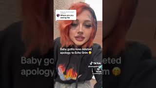 Baby Goth Brianna Miller Apologies To The Artist Echo Grim And His Fans.