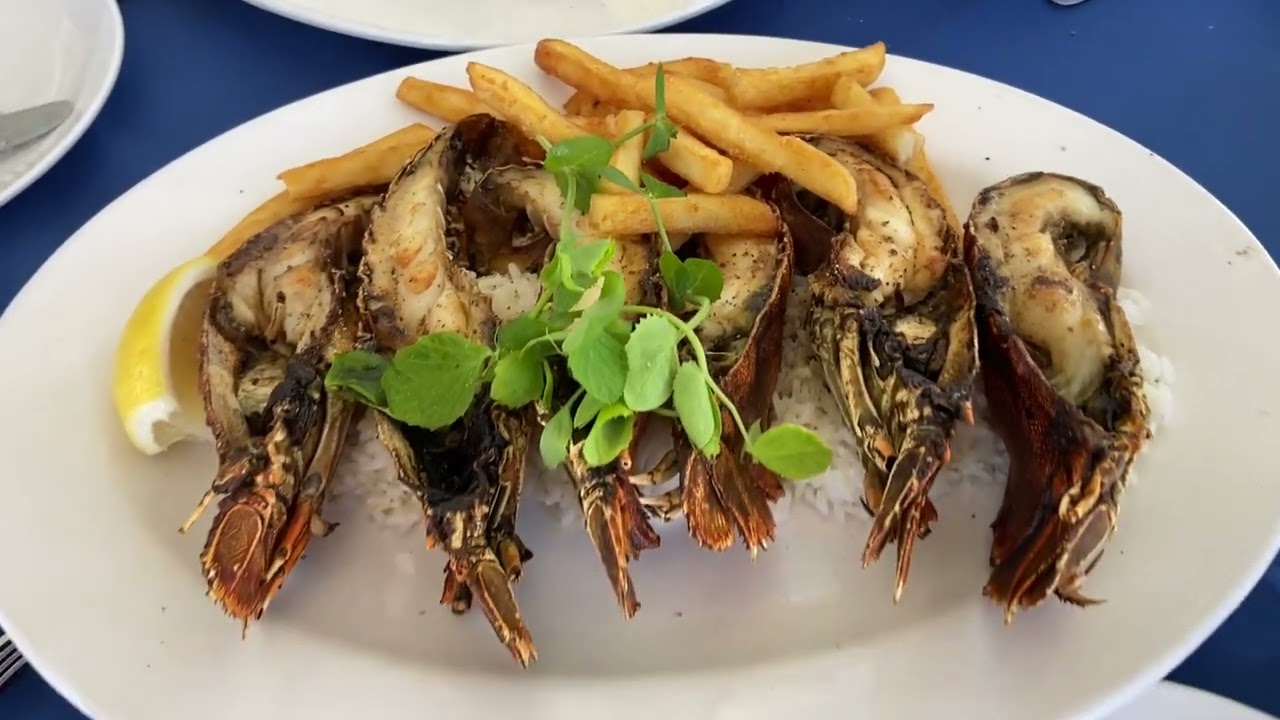 “Moreton bay bug”