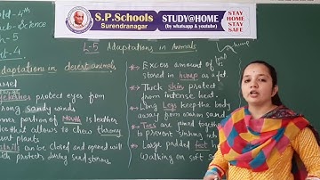 STD 4 CBSE | SCIENCE LEC 18 | S P SCHOOL SURENDRANAGAR