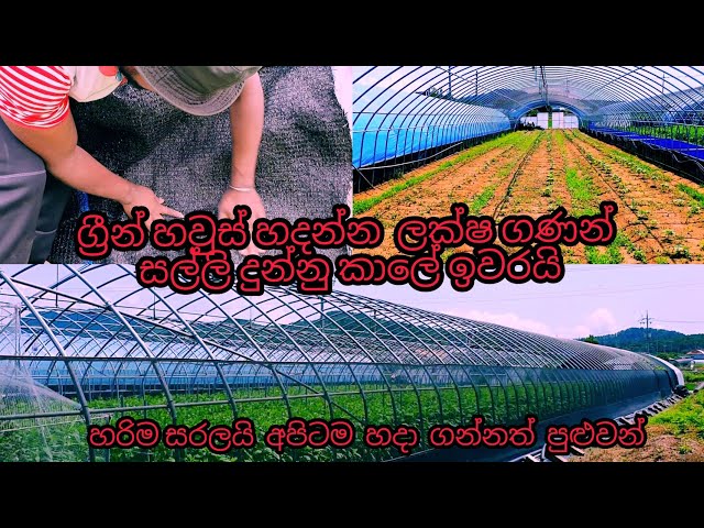 කොරියානු ගෙවතු වගාව සහ ග්‍රීන් හවුස්‌  එකක් පහසුවෙන් සාදා ගන්නා  අකාරය( korean green house)
