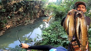 കാട്ടിൽ കയറി മീൻ പിടിച്ചപ്പോൾ.. 😱 | Snakehead Fishing in the forest | Fishing Videos | Viral Videos