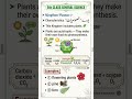 Autotrophs, the Photosynthesis Process, and Major Examples like Flowering Plants, Pine, and Ferns