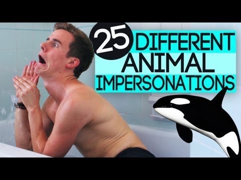 25 Different Animal Impersonations