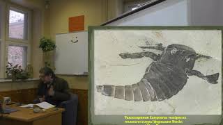 видео: Силурийский период. Вперёд - на сушу! картинка: Силурийский период. Вперёд - на сушу!