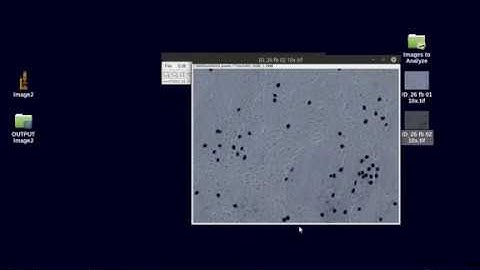 ImageJ 