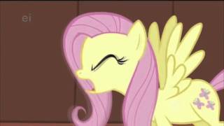 Flutter Shy Screams BTS