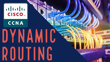 Dynamic Routing Path Selection