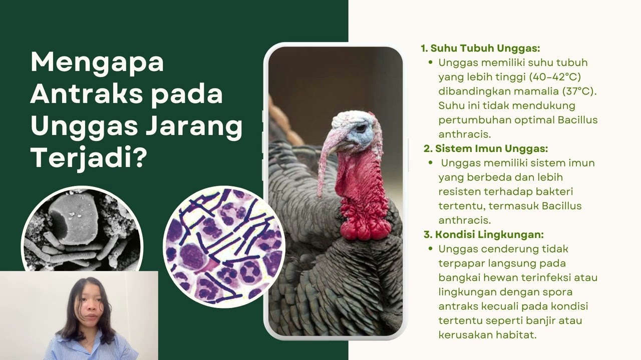 CASE BASE LEARNING II ILMU PENYAKIT BAKTERI DAN JAMUR