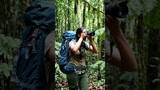 What a pic #Jungle # ANKANAI #AI #ARTIFICIAL #INTELLIGENCE #TRIP