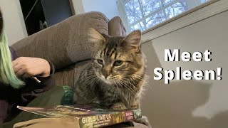 A November/December Reading Vlog