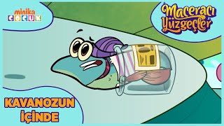 Maceracı Yüzgeçler | Kavanozun İçinde   | MinikaÇOCUK screenshot 2