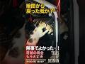 無事でよかった…暗闇から戻った我が子を抱きしめる母の愛 #野良猫の現実 #猫の親子 #保護猫