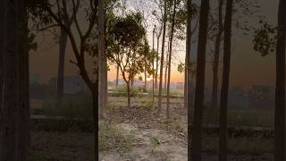 Nature’s lap is the safest place for a child to grow 🌼✨ #VillageLife #CalmMind #ButterflyLove