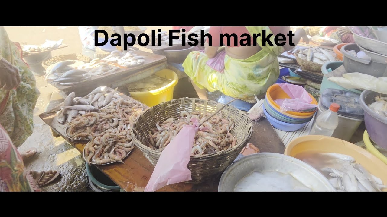 Dapoli Fish Market Vlog🐟🐟Humne kya kharida? 