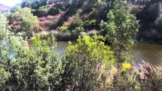 Jacks Pond
