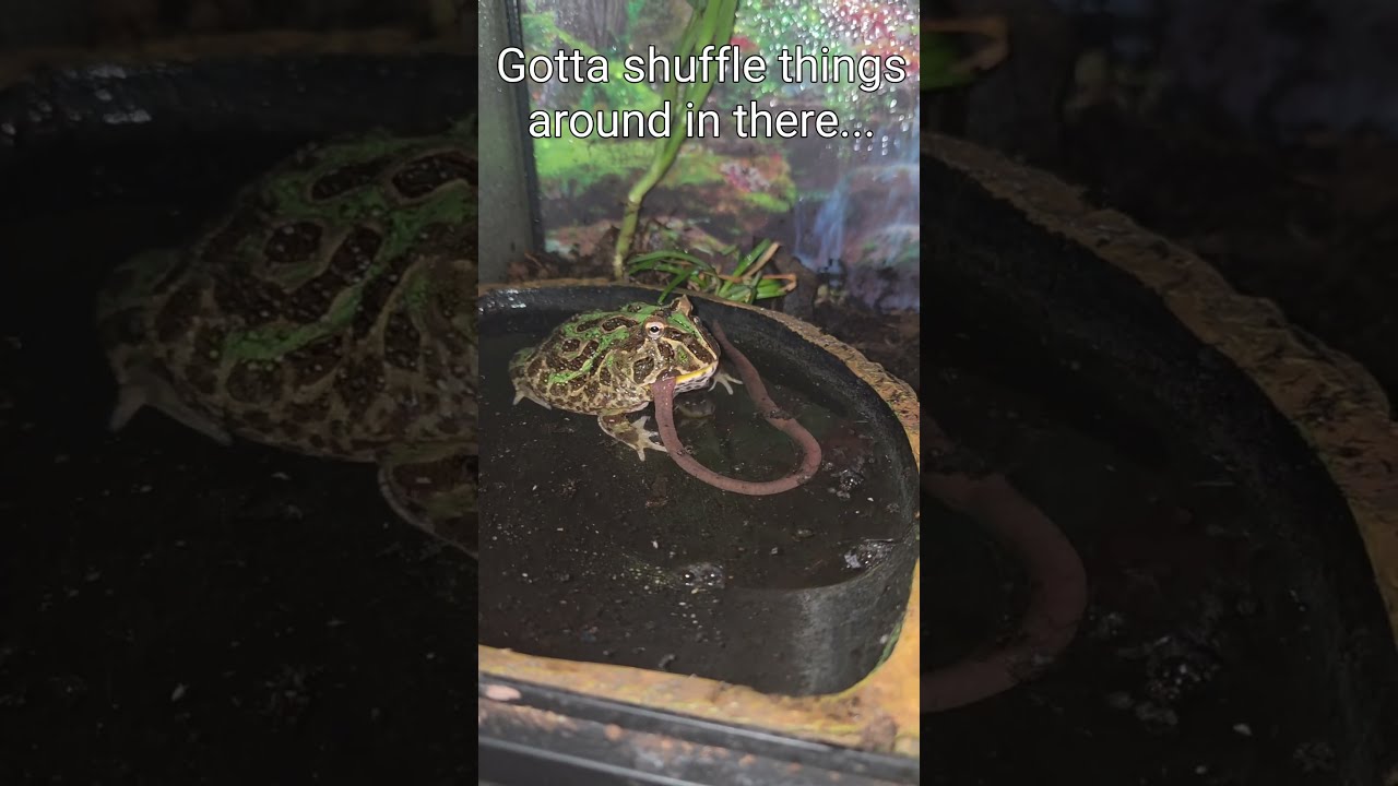 Mmm... Sketti. 😋🪱🍝